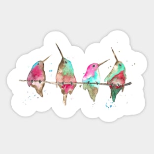 Hummingbirds on branch Sticker